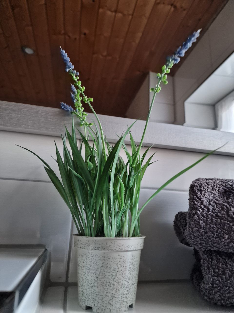 Ferienwohnung Bielatal 15