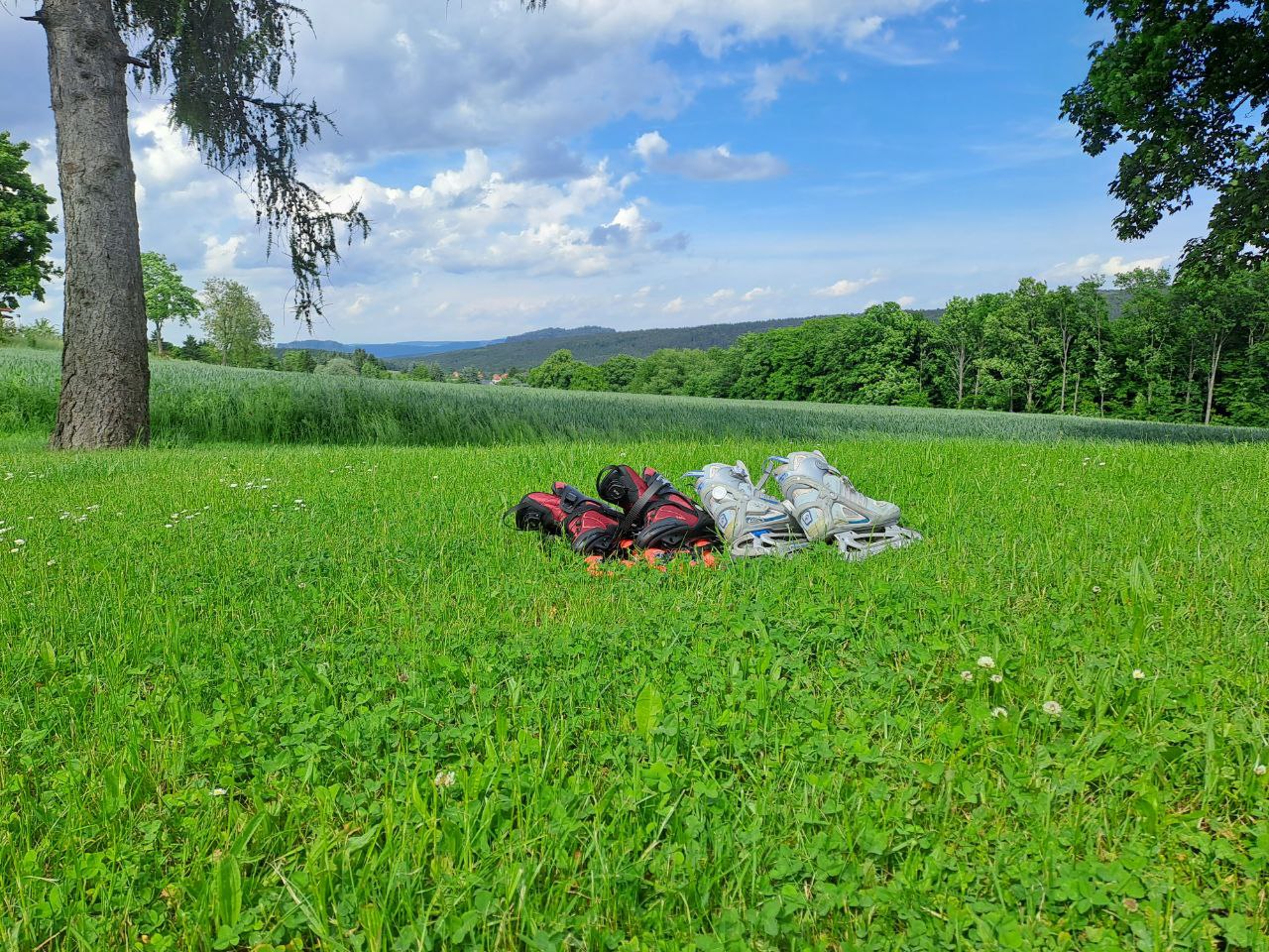 Ferienwohnung im Elbsandsteingebirge Ferienwohnung im Elbsandsteingebirge